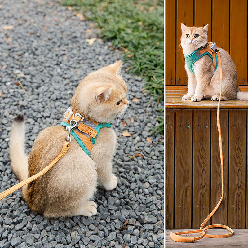 Escape Proof Cat Harness Leashes Set Reflective Adjustable Cat Collar Puppy Outdoor Training Vest Soft Harness Pet Accessories Escape Proof Cat Harness Leashes Set Reflective Adjustable Cat Collar Puppy Outdoor Training Vest Soft Harness Pet Accessories