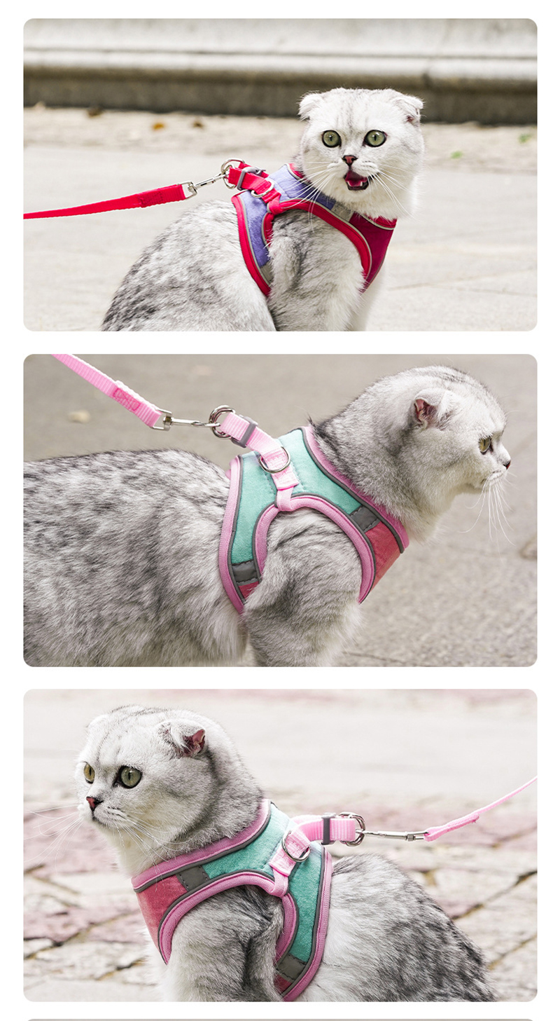 Escape Proof Cat Harness Leashes Set Reflective Adjustable Cat Collar Puppy Outdoor Training Vest Soft Harness Pet Accessories Escape Proof Cat Harness Leashes Set Reflective Adjustable Cat Collar Puppy Outdoor Training Vest Soft Harness Pet Accessories